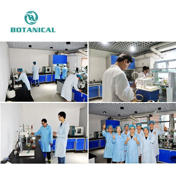 Epimedium Extracts Powder