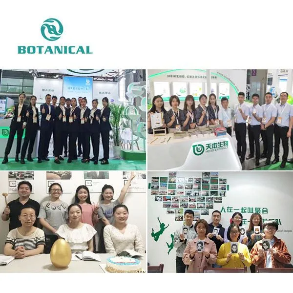 Tribulus Terrestris Extract Powder